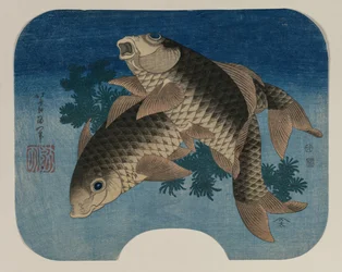 Carp Swimming by Water Weeds   1298317   no       norwegian Successfully Translated  Original: The Holy Family with Saint John. Translat: The Holy Family with Saint John. 1192020 no norwegian Successfully Translated Original: A royal affair, 2015 (mixed me