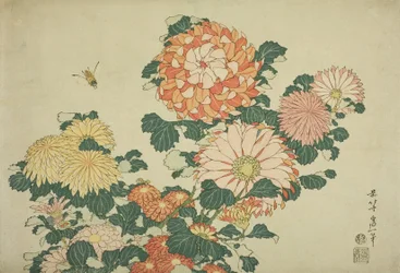 Chrysanthemums and Bee, fra en serie med store blomster uten tittel, ca. 1833-34