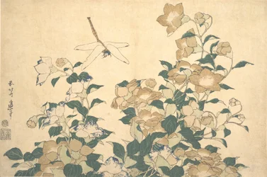 Dragonfly and Bellflower, slutten av 1820-årene.