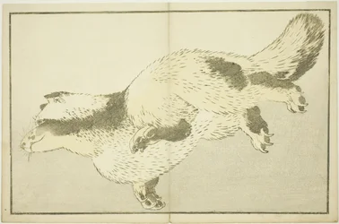 Fox, fra The Picture Book of Realistic Paintings of Hokusai (Hokusai shashin gafu)