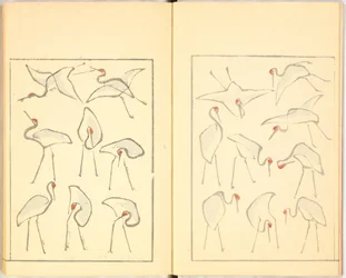 Illustrert bok