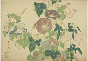 Morning Glories og Tre-frosk, fra en serie med store blomster uten tittel