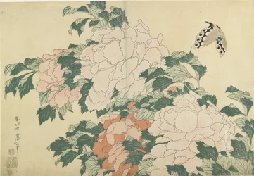 Peoner og sommerfugl, ca. 1830-1831