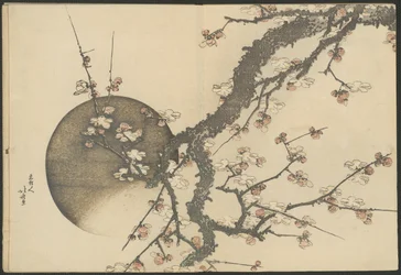 Plommeblomst og månen fra boken Fuji-fjellet om våren (Haru no Fuji)