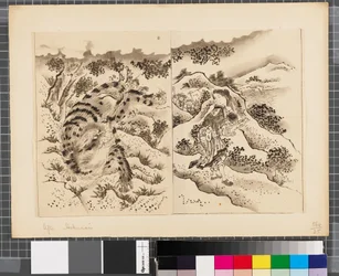 Scener fra krigen mellom Japan og Korea, slutten av 1700-tallet–første halvdel av 1800-tallet (blekk og vask på papir)