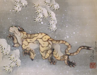 Tiger i en snøstorm