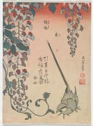 Vipstjert og Wisteria, Edo-perioden, 1834 (farget treblokktrykk)