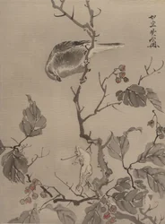 Fugl og frosk, ca. 1887.