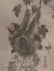 Monkey som henger fra Grapevines, ca. 1887.