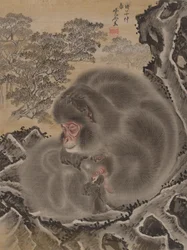 Monkeys, mars 1888.