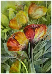 Fargerike blomster i hagen