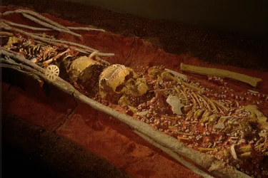Arkeologi; Hominid; Hominin; Menneskelig evolusjon - Homo sapien Sapiens; Menneskelig evolusjon; Is…, 2000 (bilde)
