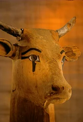 Skulptur av kuhode, KV35; Amenhotep II, 2009 (foto)