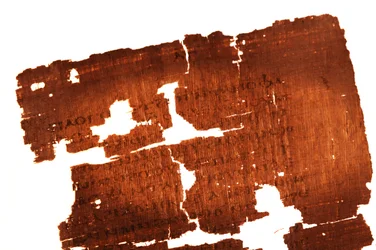 Detalj fra siden i Judasevangeliet lyder «Den hemmelige beretningen om åpenbaringen som…», 2006 (bilde)