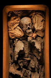 Mumien til Amenhotep III, kong Tuts bestefar, KV 35, Tutankhamon; 18. dynasti; Ny…, 2005 (bilde)