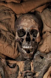 Mammaen til kong Tuts far Akhenaten