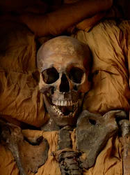 Mammaen til kong Tuts far Akhenaten
