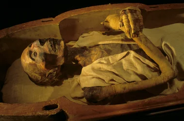 Mumien til Ramses II