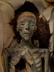 Tiyes mumie, Amenhotep IIIs kone og Tuts bestemor. 18. dynasti; Ny konge…, 2005 (bilde)