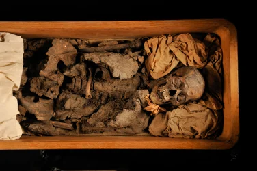 mm7864; Tutankhamon; 18. dynasti; Det nye riket; Det egyptiske museet; Kairo; DNA; sampl…, 2005 (bilde)