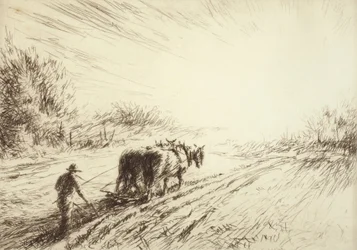 Tidlig pløying (vår)