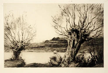 Piletrærne,