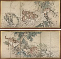 Tiger familie