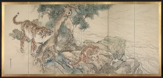 Tiger familie