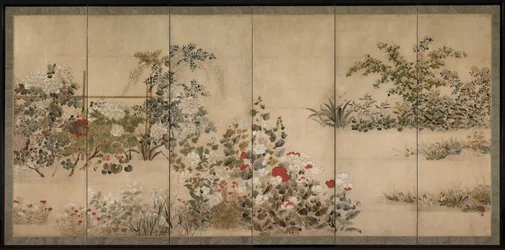 Blomster og gress