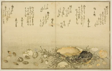Chidori - utenfor, smerte - utenfor, abalone, bevege seg - utenfor, muslinger - ute, det er en idé for Allah, fra latte-bladbladene til