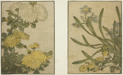 Chrysanthemum and Narcissus, from the illustrated book "Picture Book: Flowers of the Four Seasons (Ehon shiki no hana)," vol. 2   1292953   no       norwegian Successfully Translated  Original: Triomf van Christus (tweede deel) Translat: Triomf van Christu