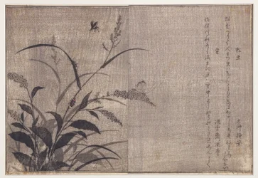 Cricket og ildfluer, 1788 (treblokk)