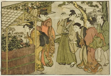 Visning av krysantemum, fra den illustrerte boken "Picture Book: Flowers of the Four Seasons (Ehon shiki no hana)," vol. 2