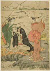 Fiske ved Iwaya, Enoshima