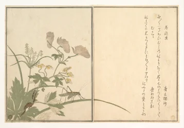 Løvgresshoppe (Umaoi-mushi); tusenbein (Mukade), fra Bildeboken om krypende skapninger (Ehon mushi erami)