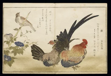 P.332-1946 bd. 1 blad 8 Hane og høne til høyre med en buskspurv til venstre, fra et album «Fugler sammenlignet i humoristiske sanger» («Momo Chidori Kyoka Awase»), 1791
