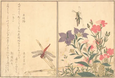 Red Dragonfly Akatonbo, Locust Inago..., 1788.