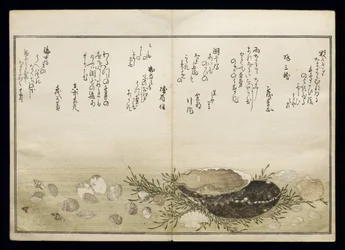 Shiohi no tsuto (Gaver fra Ebb Tide), kjent som Shell Book, 1789 (farget treblokktrykk)