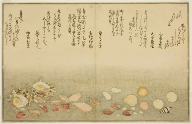 Shiro-gai, namima-gashiwa, makura-gai, iro-gai, aza-gai, sadae-gai, fra den illustrerte boken "Gaves from the Ebb Tide (Shiohi no tsuto)"