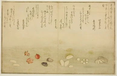 Sudare ute, blomst ute, kirsebærblomst ute, ingen agat, nadeshiko utenfor, idea d Kinuta utenfor, fra tee st latte bracts of the tidevann)"