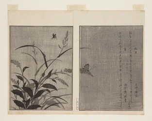 Tree Cricket (Matsumushi) og Firefly (Hotaru) (farget treblokktrykk)