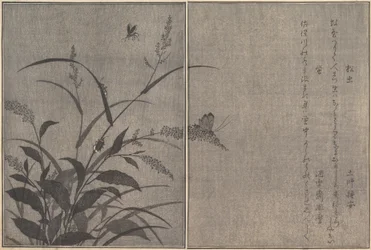 Trecricket Matsumushi, Firefly Hotaru..., 1788.