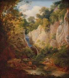 landskap med ravine