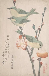 Japanske hvite øyne på en gren av ferskentre,..., ca. 1805-10.
