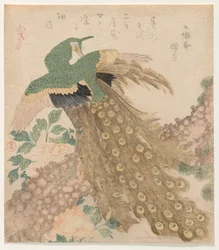 Av tre blad [Påfugl] (Mi hira no uchi)