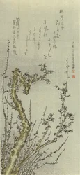 Gammelt plommetre, 1796.