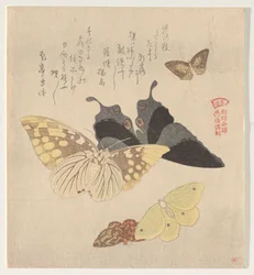Malerhåndboken til Flock of Butterflies (Guncho? Gafu)