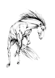 Dynamisk villhest