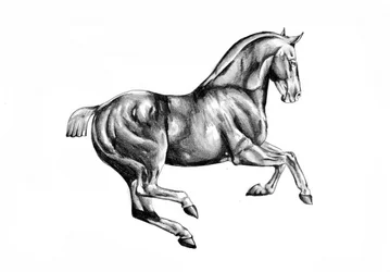 Tegning av en majestetisk hest