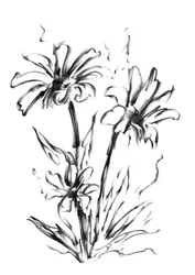 Monokrom blomsterskisse